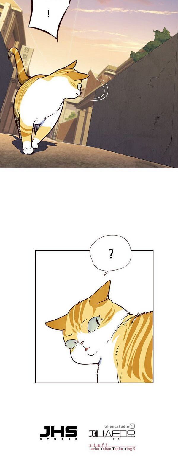 Hóa Thân Thành Mèo Chap 13 - Next Chap 14