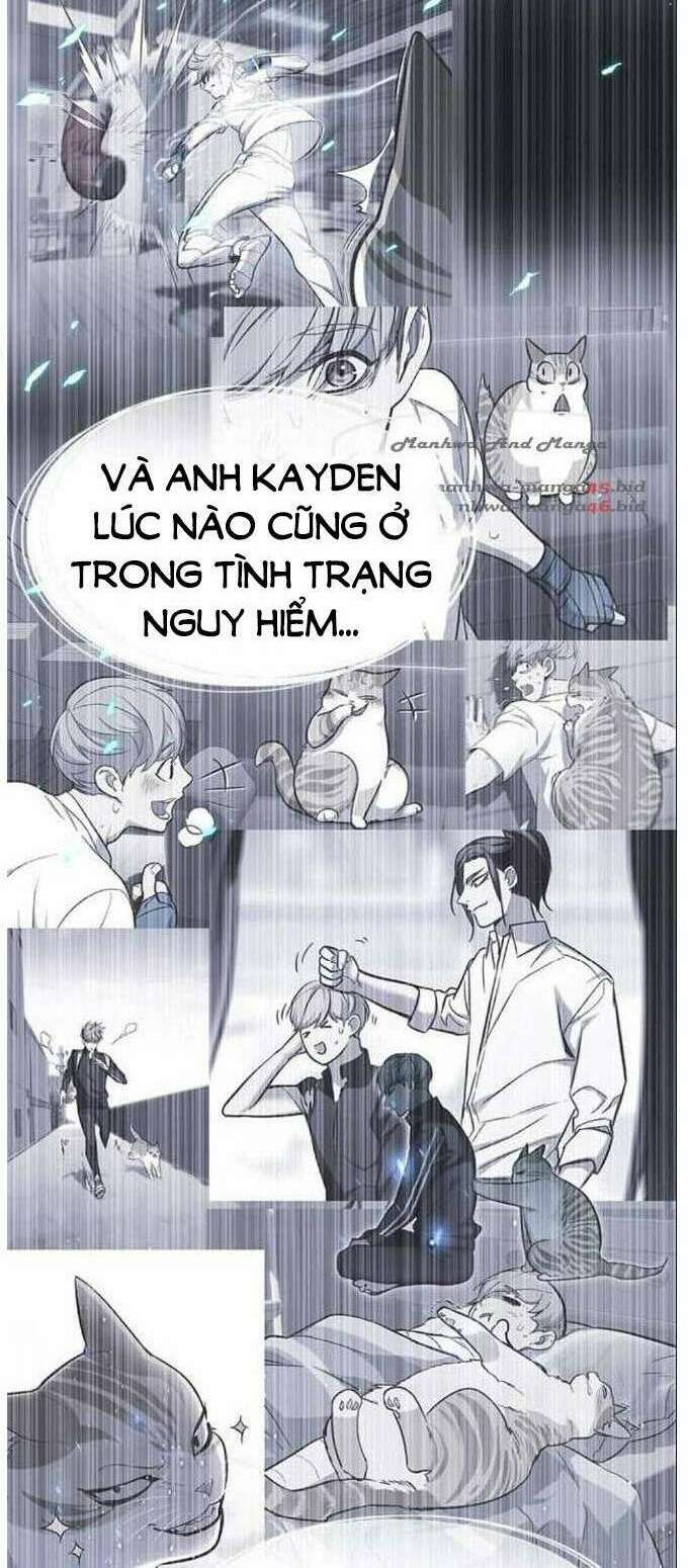 Hóa Thân Thành Mèo Chap 137 - Next Chap 138