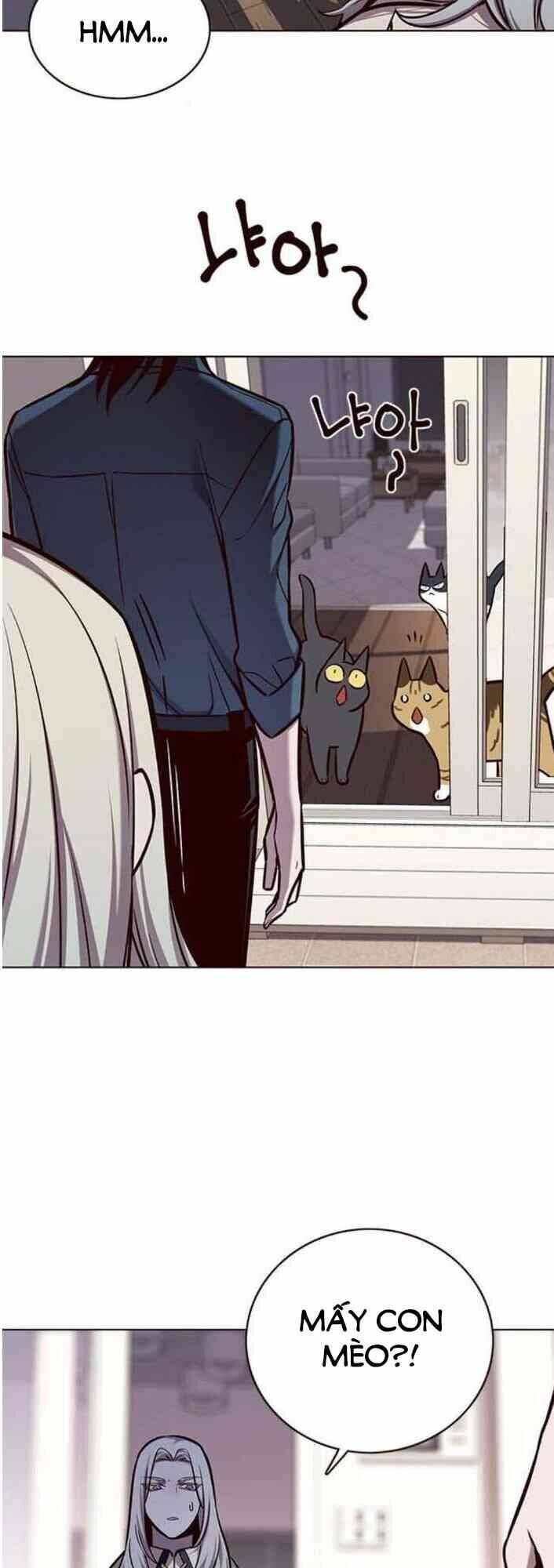 Hóa Thân Thành Mèo Chap 138 - Next Chap 139