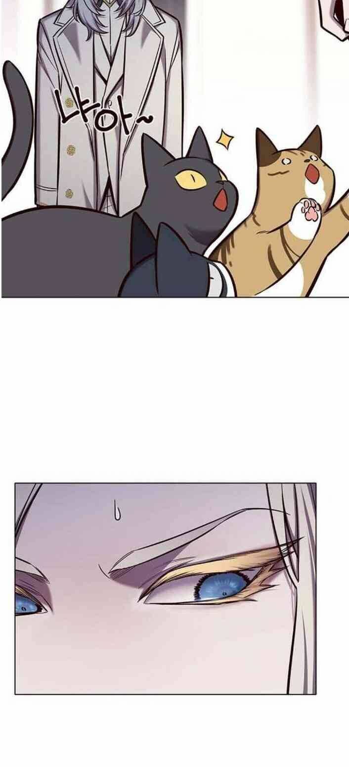 Hóa Thân Thành Mèo Chap 138 - Next Chap 139
