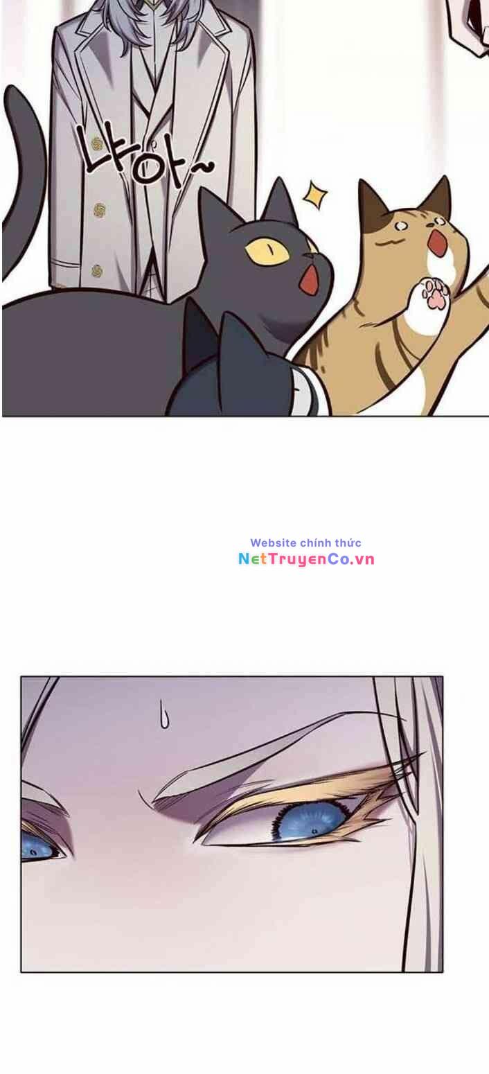 Hóa Thân Thành Mèo Chap 138 - Next Chap 139