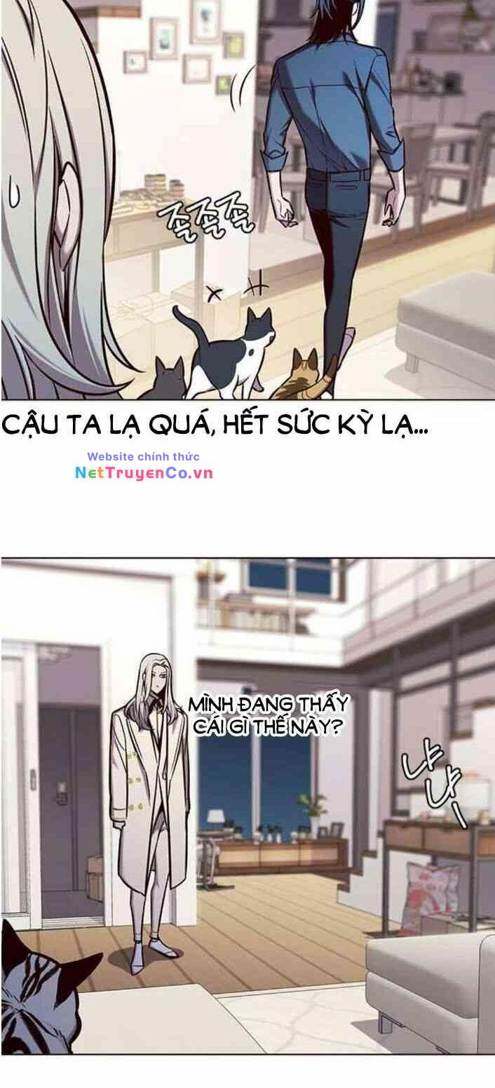 Hóa Thân Thành Mèo Chap 138 - Next Chap 139