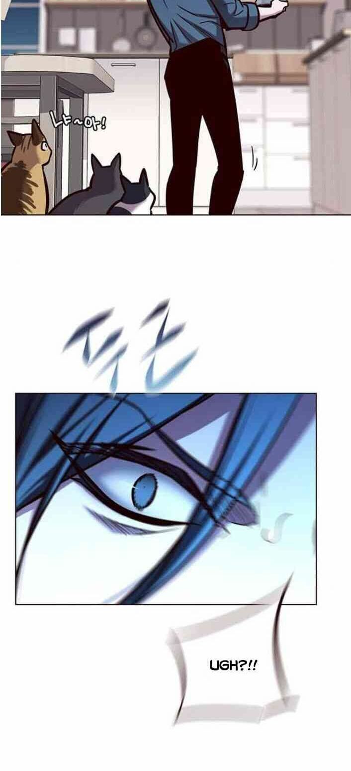 Hóa Thân Thành Mèo Chap 138 - Next Chap 139