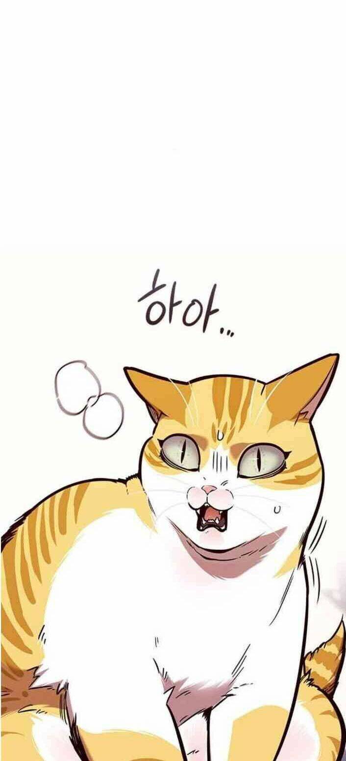 Hóa Thân Thành Mèo Chap 138 - Next Chap 139