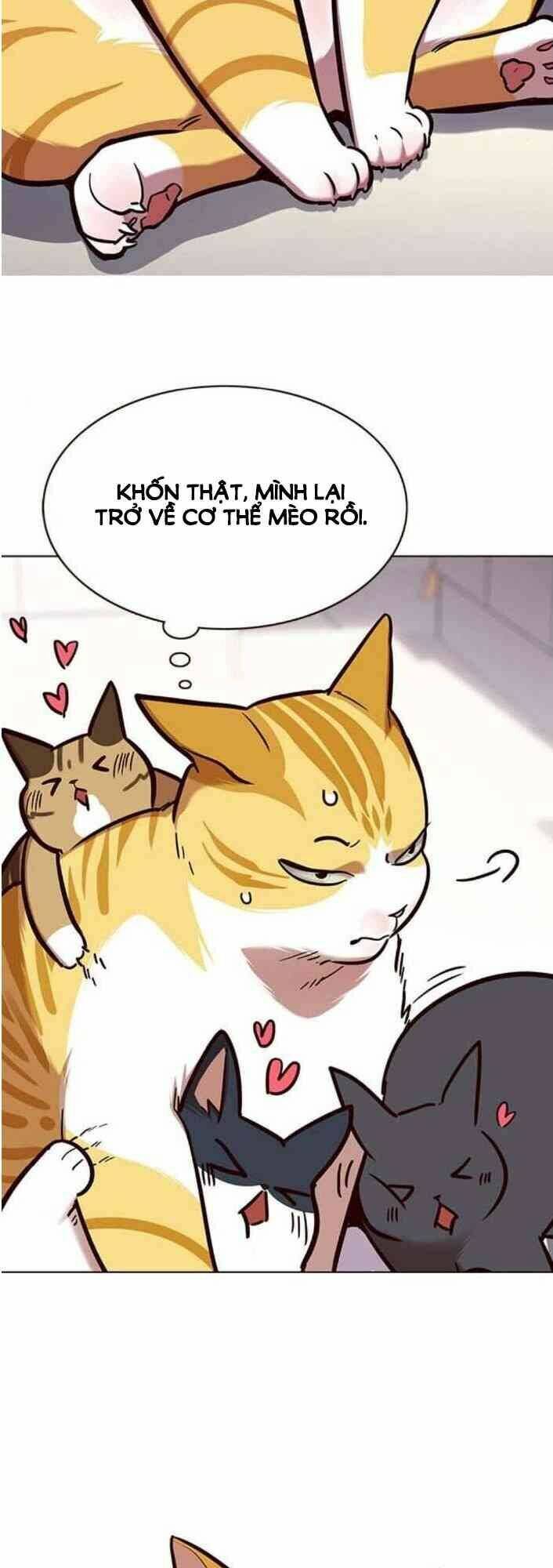Hóa Thân Thành Mèo Chap 138 - Next Chap 139