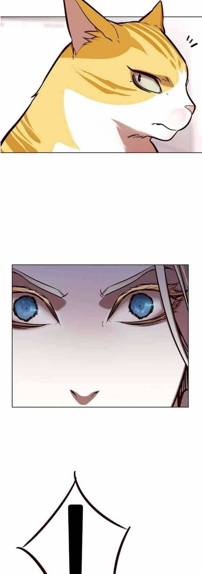 Hóa Thân Thành Mèo Chap 138 - Next Chap 139