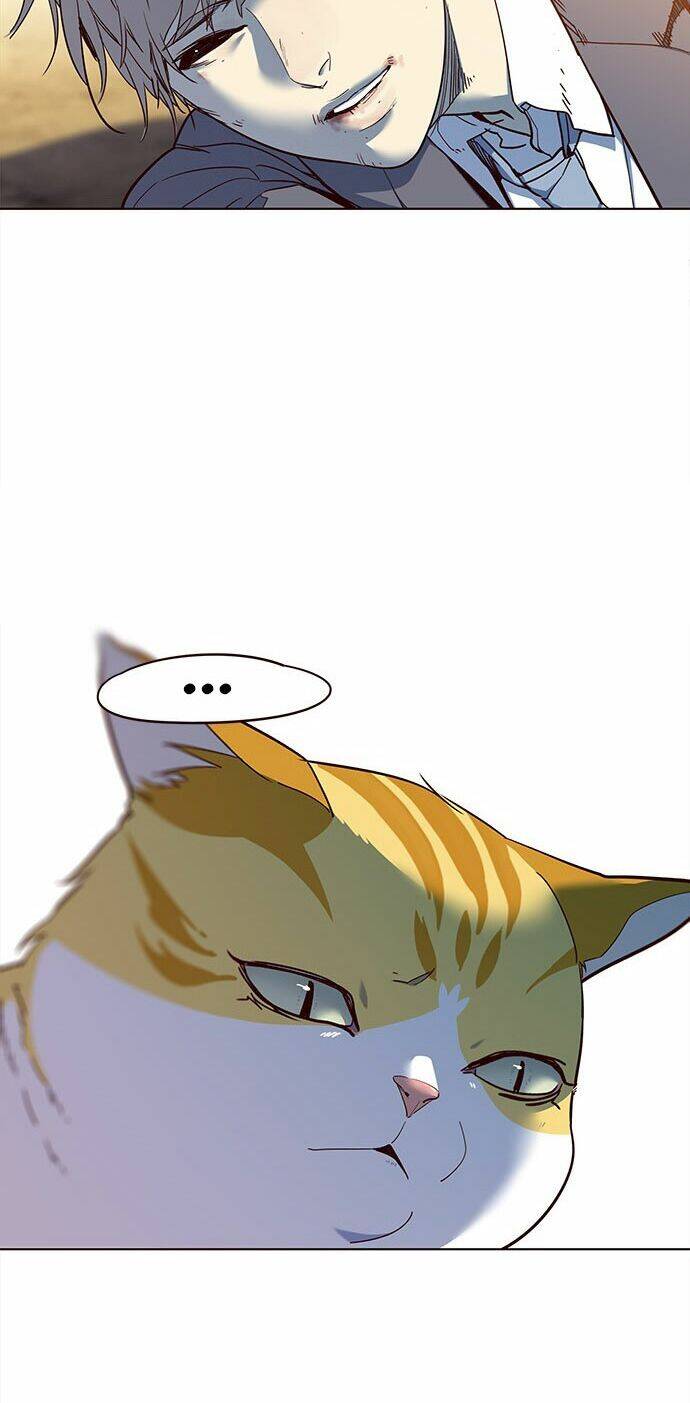 Hóa Thân Thành Mèo Chap 14 - Next Chap 15