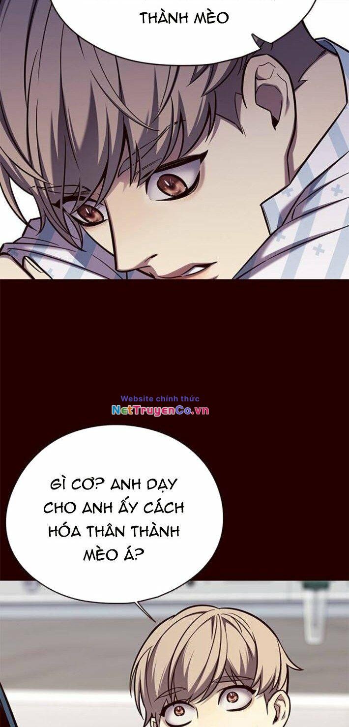 Hóa Thân Thành Mèo Chap 141 - Next Chap 142