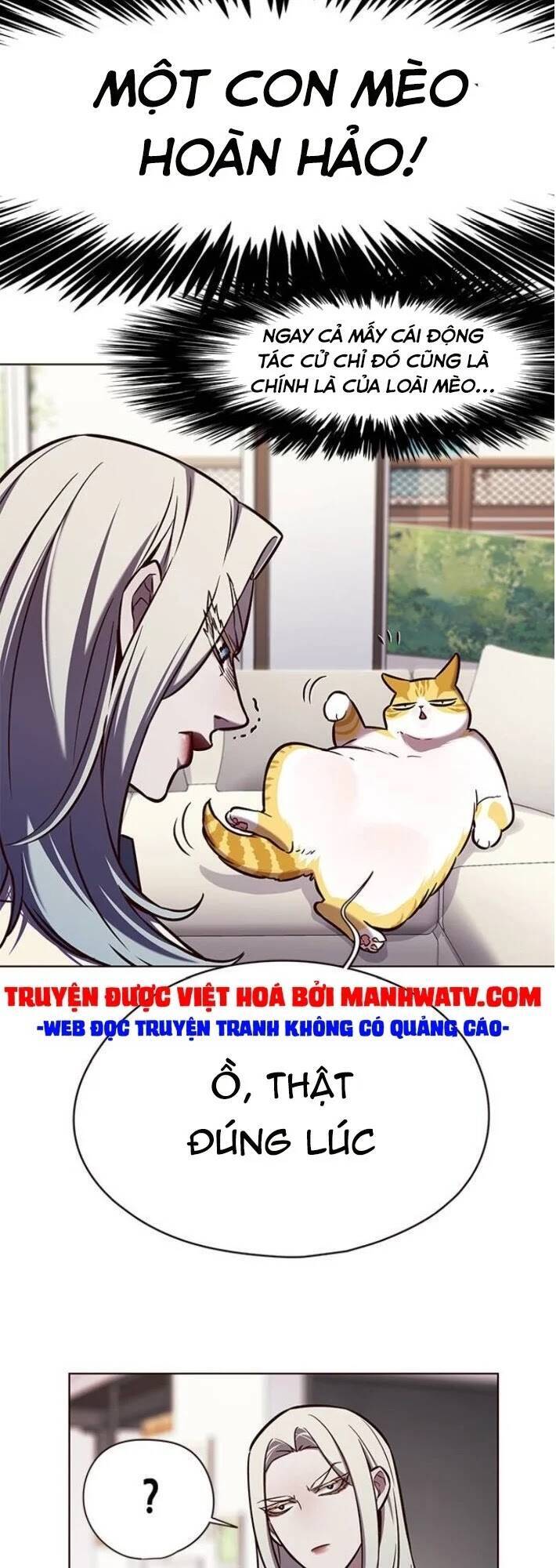 Hóa Thân Thành Mèo Chap 141 - Next Chap 142