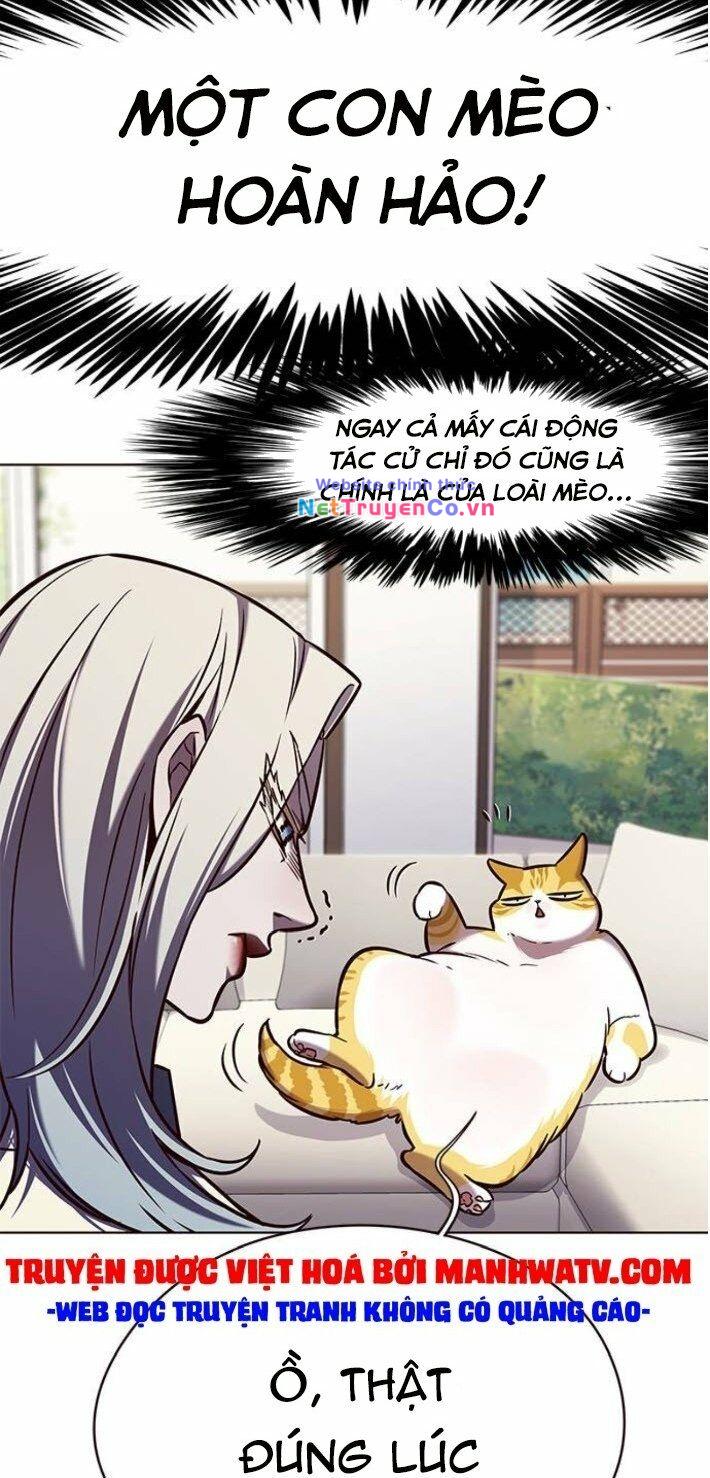 Hóa Thân Thành Mèo Chap 141 - Next Chap 142