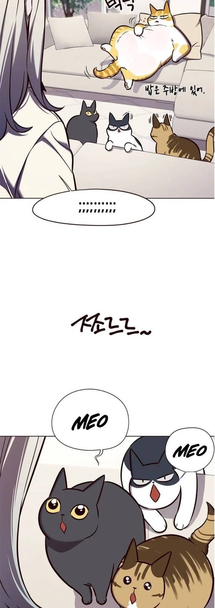 Hóa Thân Thành Mèo Chap 141 - Next Chap 142