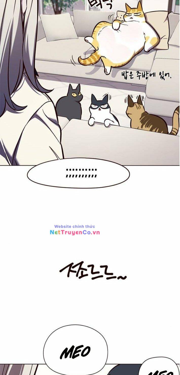 Hóa Thân Thành Mèo Chap 141 - Next Chap 142