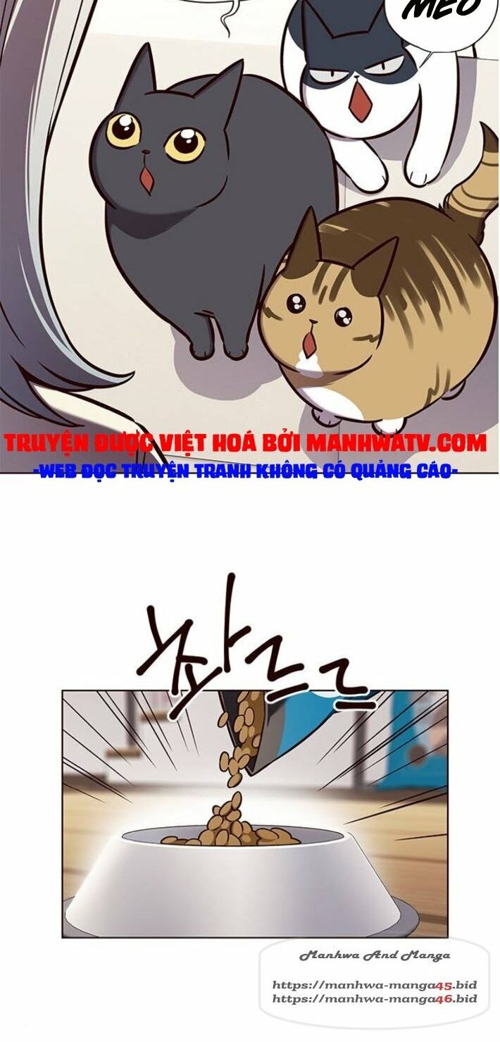Hóa Thân Thành Mèo Chap 141 - Next Chap 142