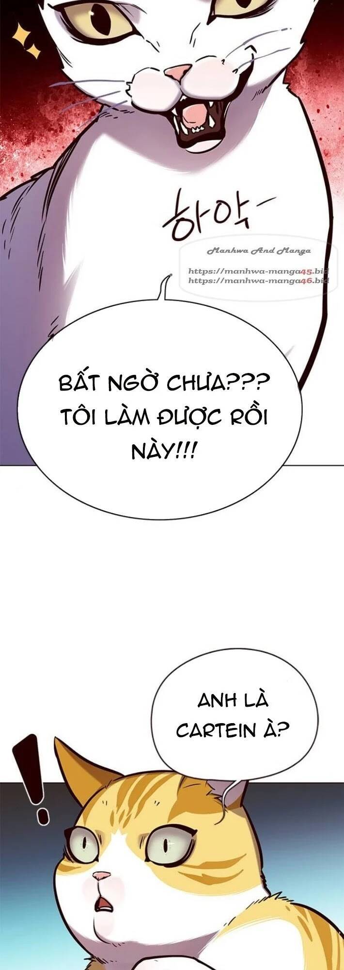 Hóa Thân Thành Mèo Chap 141 - Next Chap 142