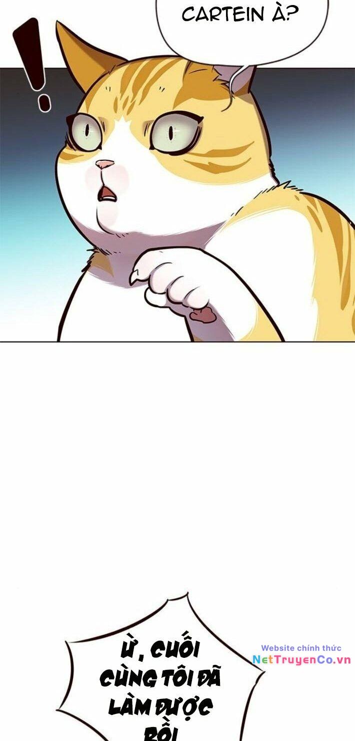 Hóa Thân Thành Mèo Chap 141 - Next Chap 142