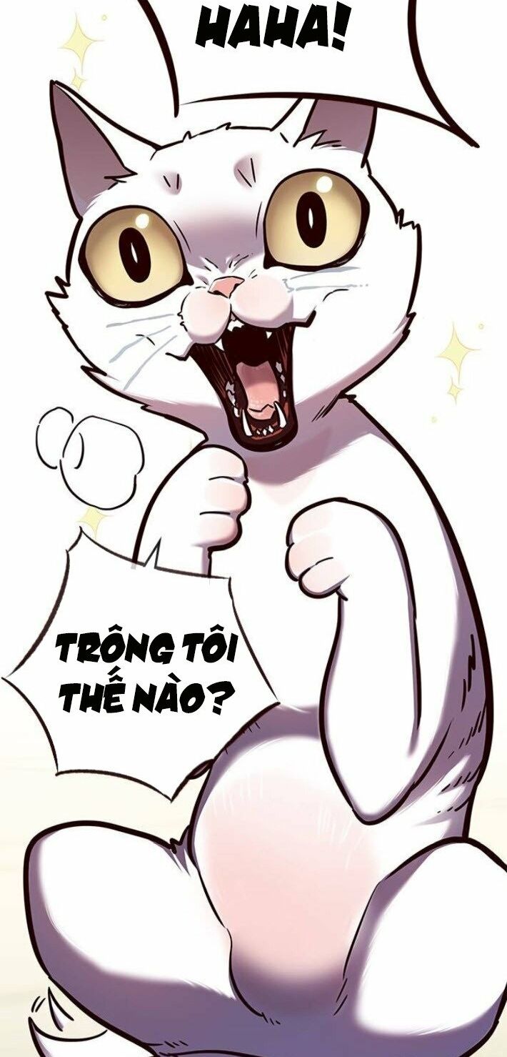 Hóa Thân Thành Mèo Chap 141 - Next Chap 142