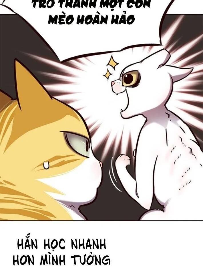 Hóa Thân Thành Mèo Chap 141 - Next Chap 142