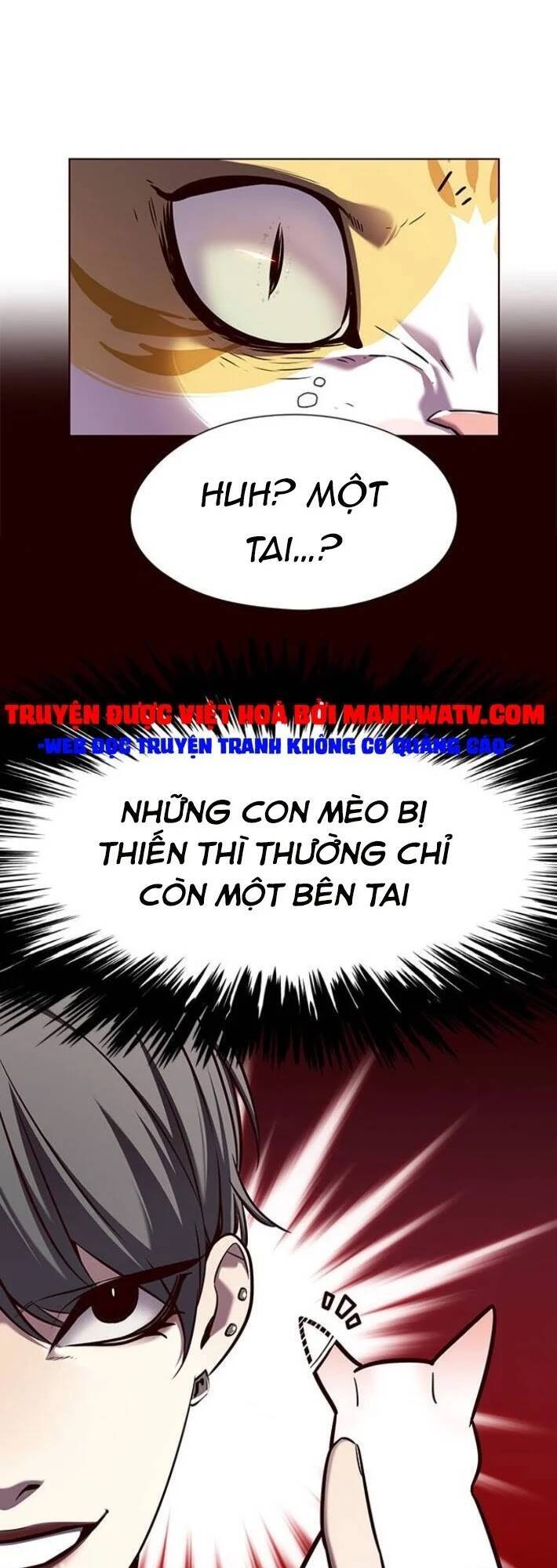 Hóa Thân Thành Mèo Chap 141 - Next Chap 142