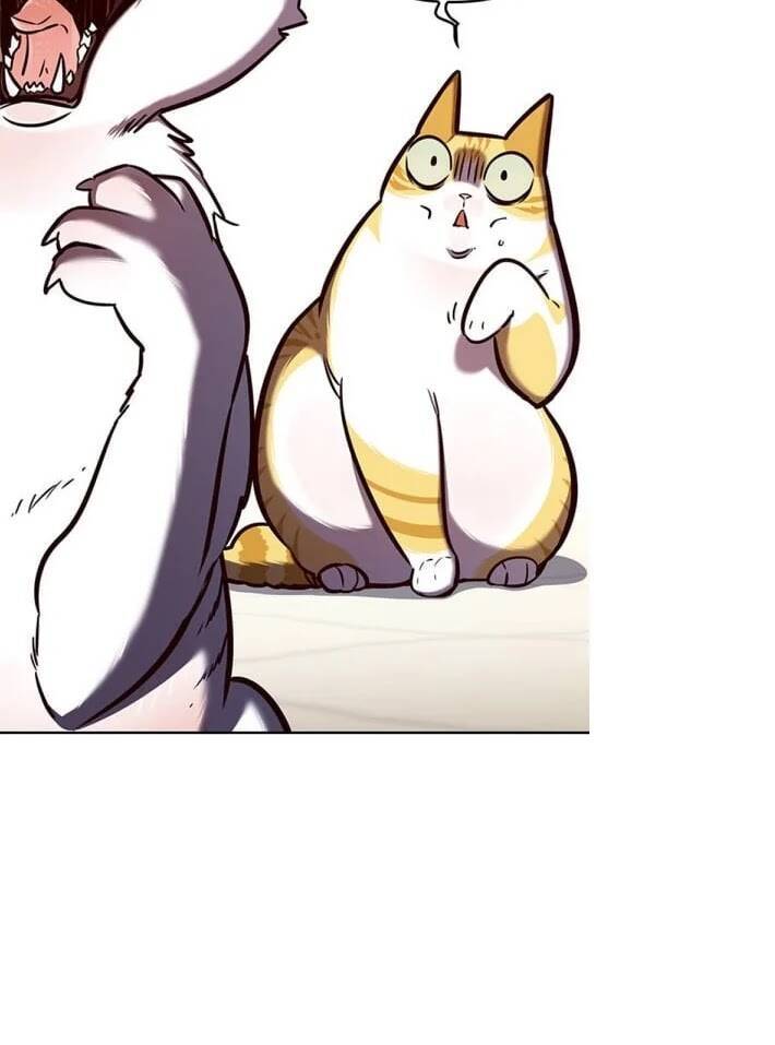 Hóa Thân Thành Mèo Chap 141 - Next Chap 142