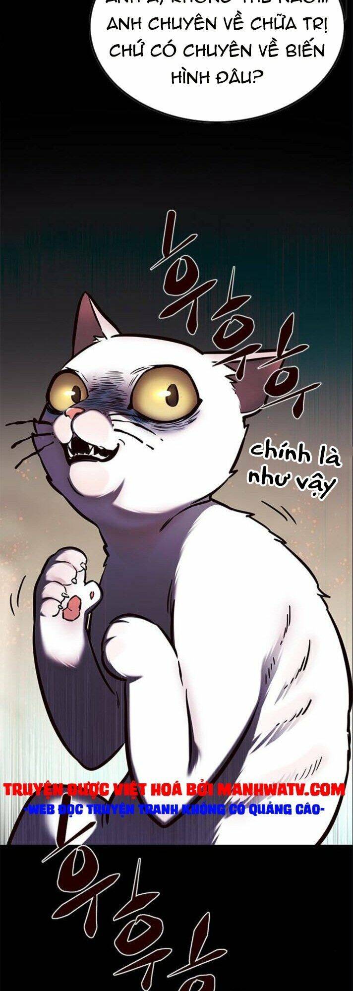 Hóa Thân Thành Mèo Chap 142 - Next Chap 143