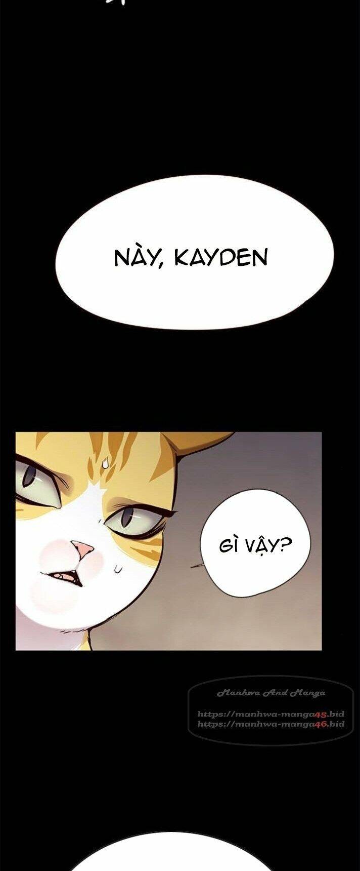 Hóa Thân Thành Mèo Chap 142 - Next Chap 143