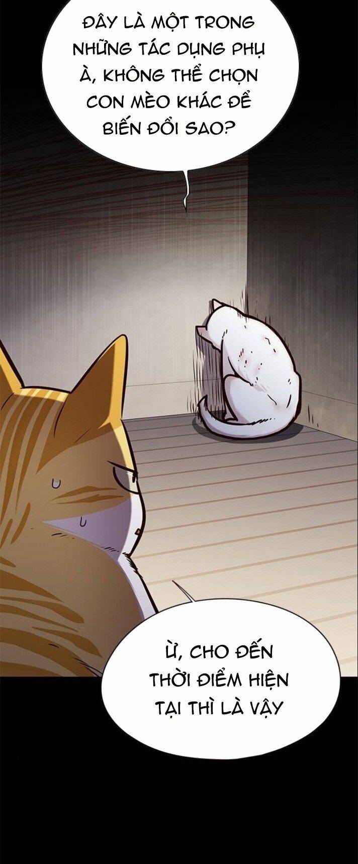 Hóa Thân Thành Mèo Chap 142 - Next Chap 143