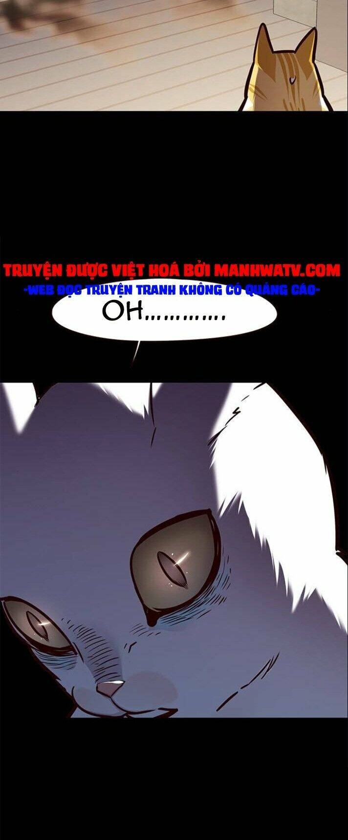 Hóa Thân Thành Mèo Chap 142 - Next Chap 143