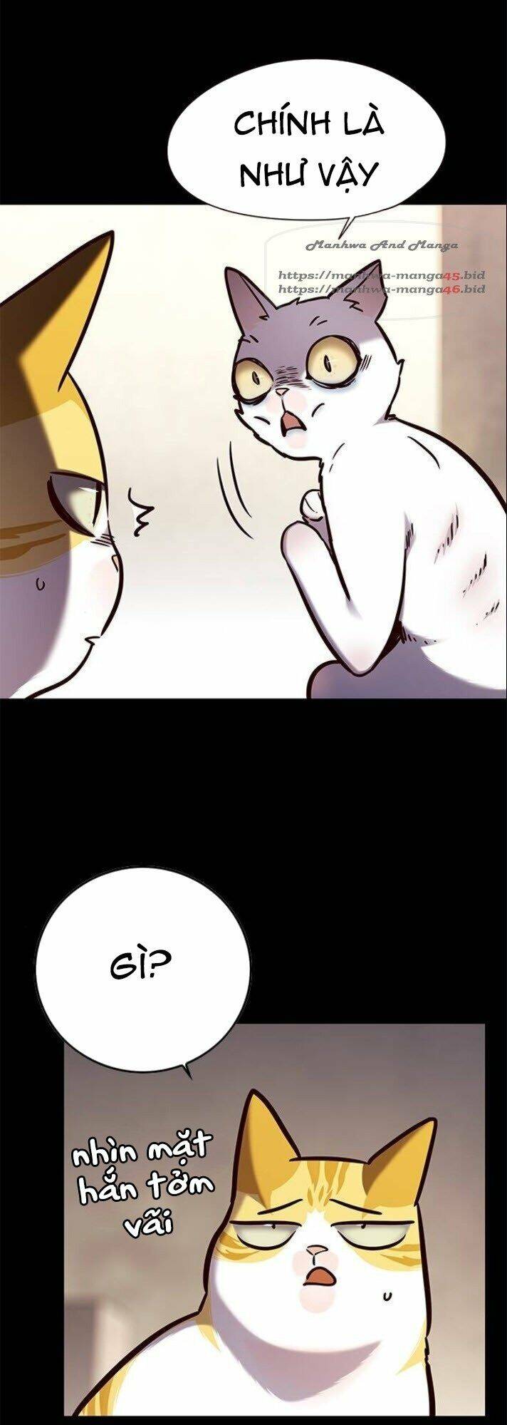 Hóa Thân Thành Mèo Chap 142 - Next Chap 143
