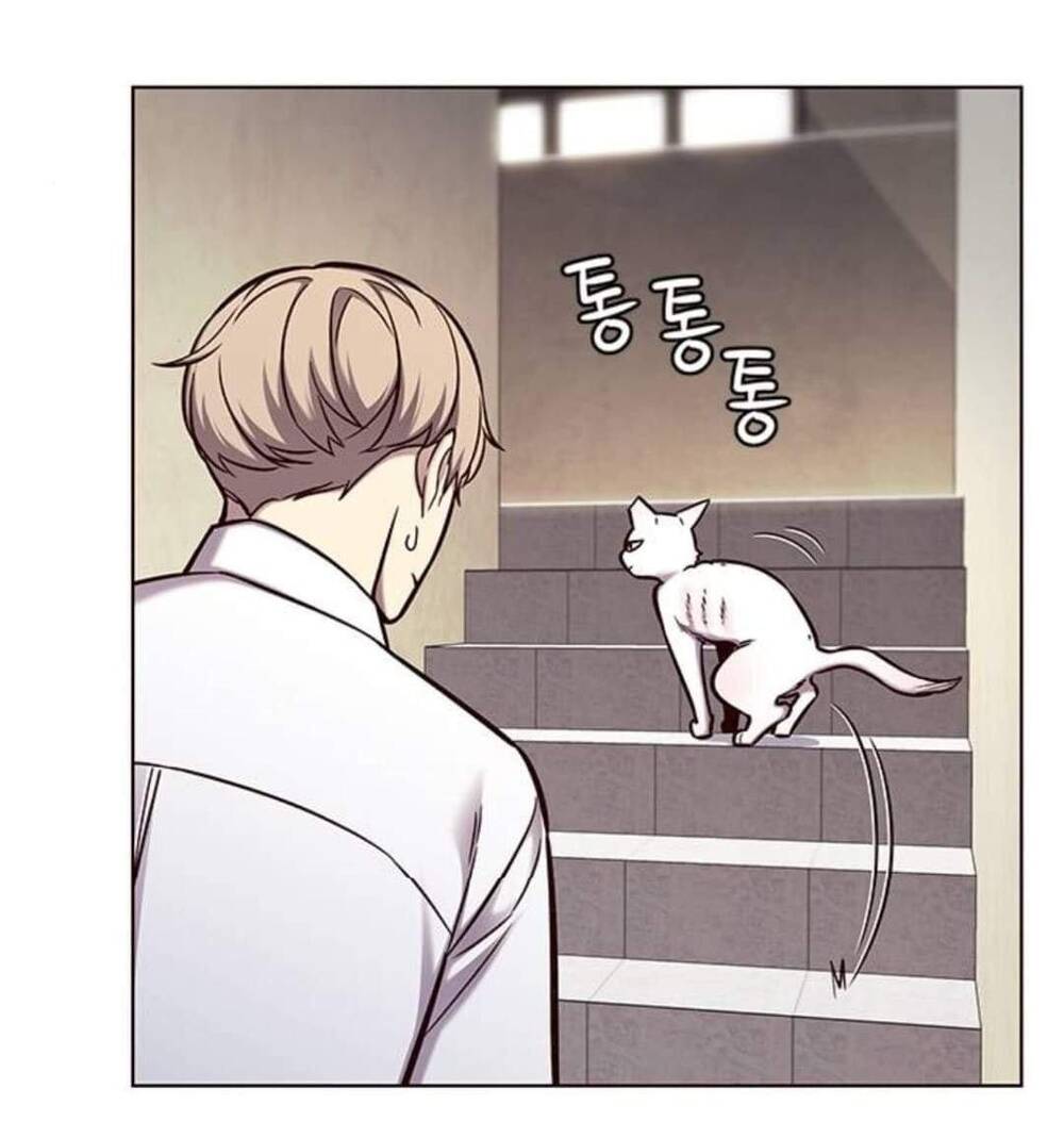 Hóa Thân Thành Mèo Chap 144 - Next Chap 145