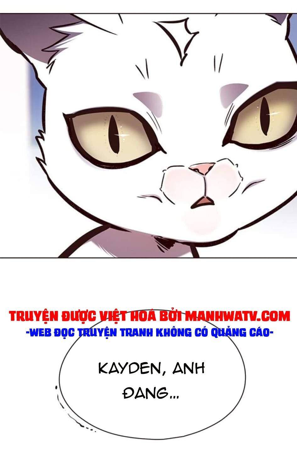 Hóa Thân Thành Mèo Chap 144 - Next Chap 145