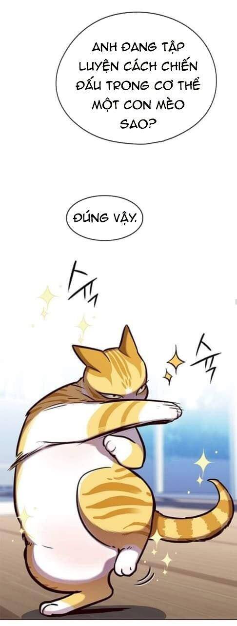 Hóa Thân Thành Mèo Chap 144 - Next Chap 145