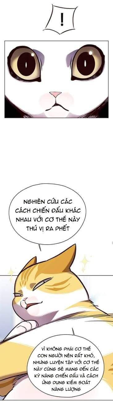 Hóa Thân Thành Mèo Chap 144 - Next Chap 145