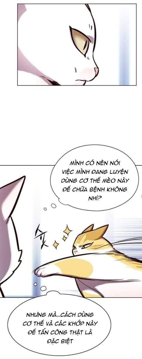 Hóa Thân Thành Mèo Chap 144 - Next Chap 145