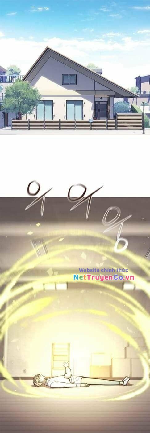 Hóa Thân Thành Mèo Chap 144 - Next Chap 145