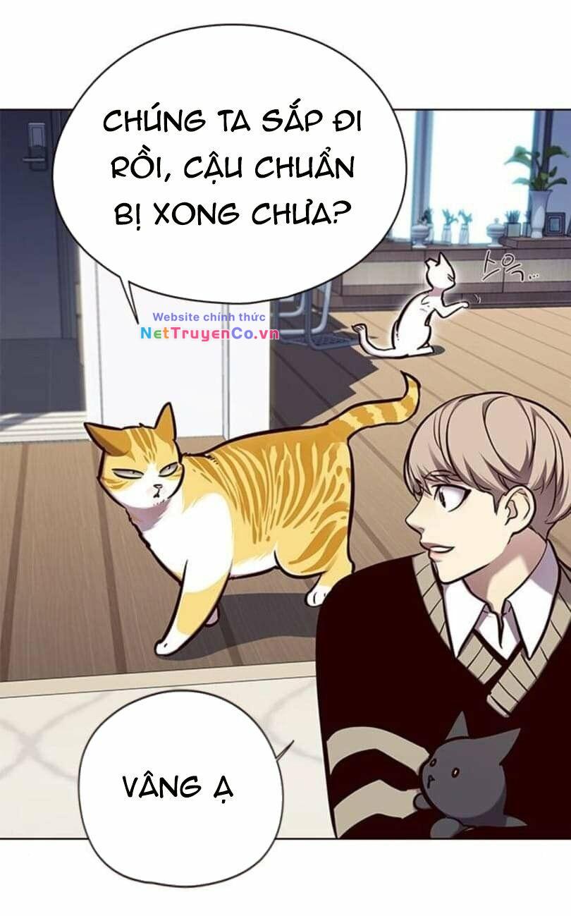 Hóa Thân Thành Mèo Chap 144 - Next Chap 145