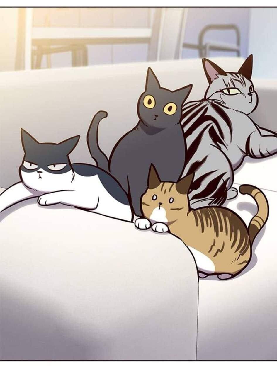 Hóa Thân Thành Mèo Chap 144 - Next Chap 145