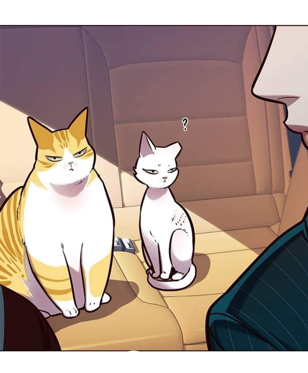 Hóa Thân Thành Mèo Chap 144 - Next Chap 145