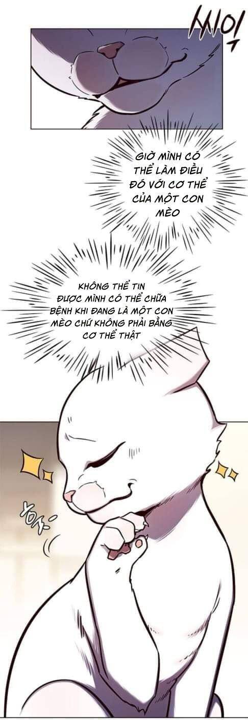 Hóa Thân Thành Mèo Chap 144 - Next Chap 145