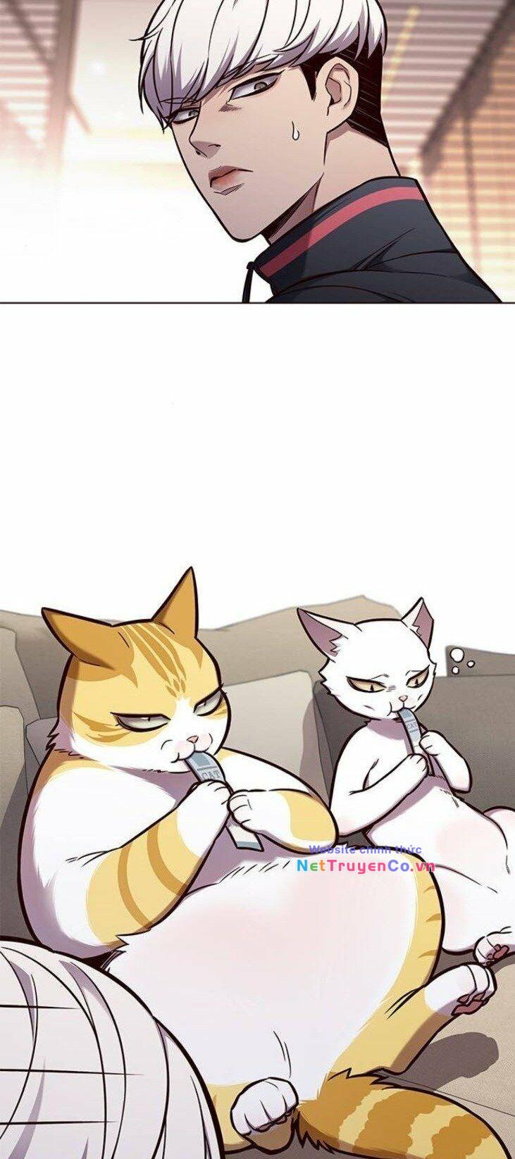 Hóa Thân Thành Mèo Chap 146 - Next Chap 147