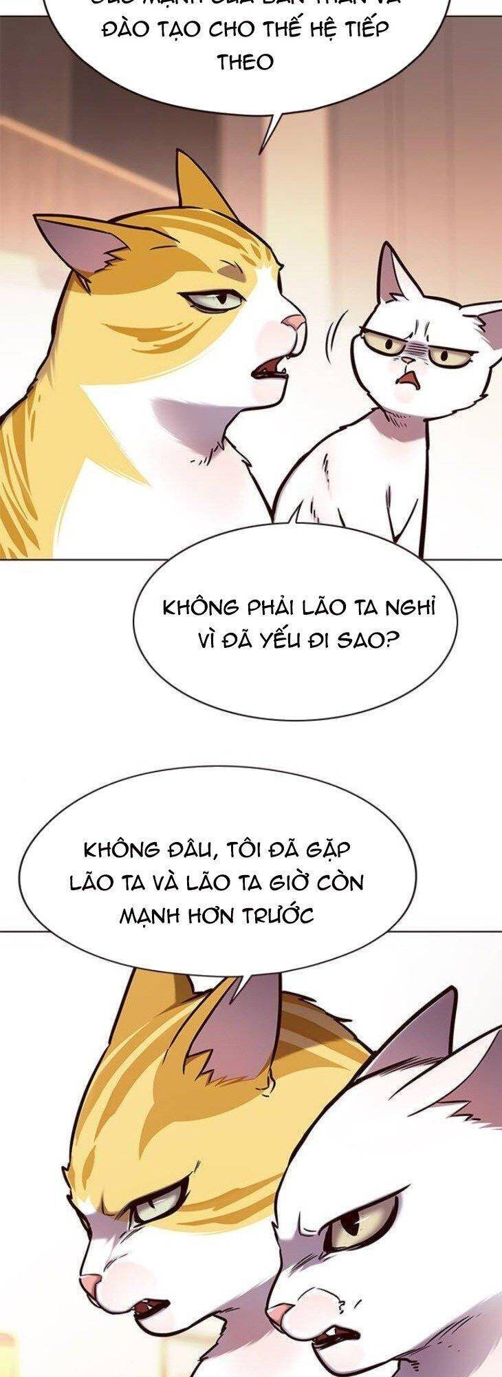 Hóa Thân Thành Mèo Chap 146 - Next Chap 147