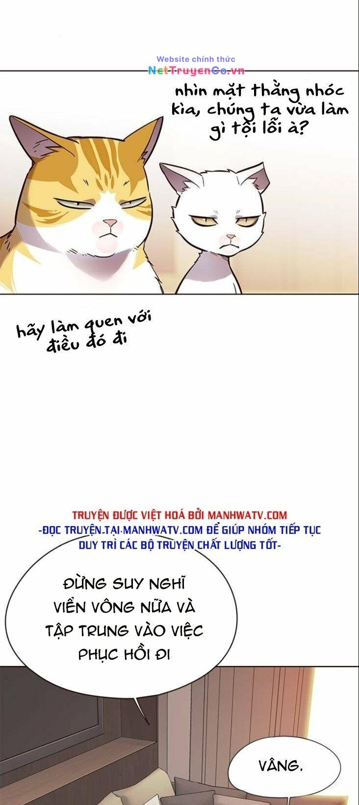 Hóa Thân Thành Mèo Chap 146 - Next Chap 147