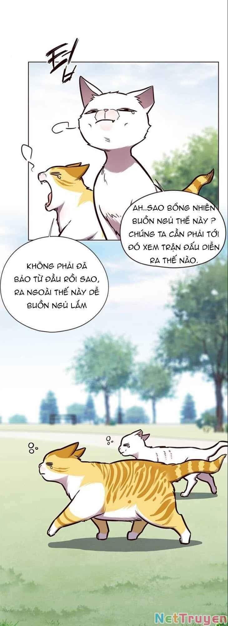 Hóa Thân Thành Mèo Chap 150 - Next Chap 151