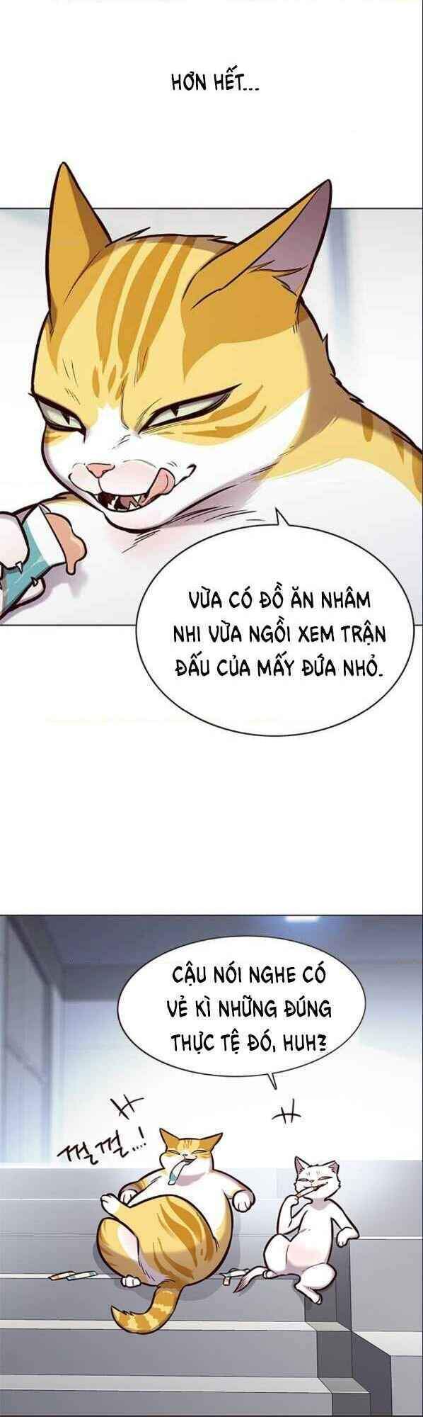 Hóa Thân Thành Mèo Chap 153 - Next Chap 154