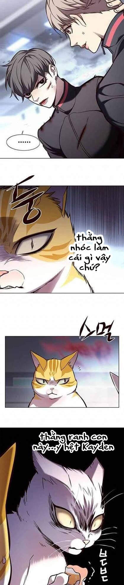 Hóa Thân Thành Mèo Chap 155 - Next Chap 156