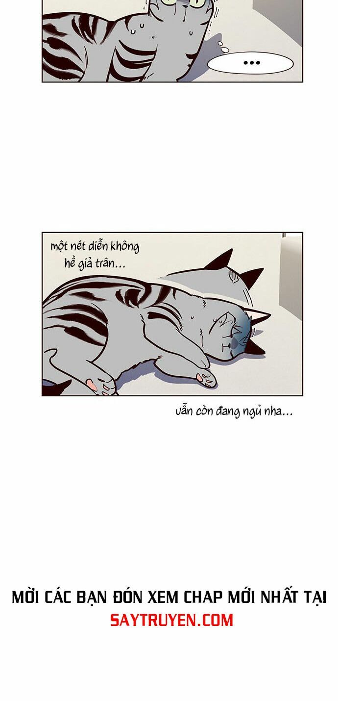 Hóa Thân Thành Mèo Chap 16 - Next Chap 17