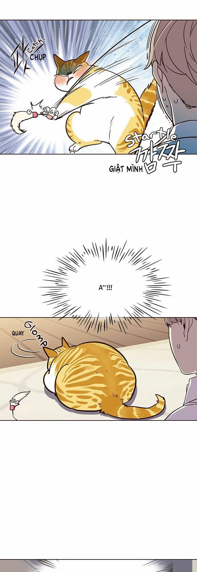 Hóa Thân Thành Mèo Chap 16 - Next Chap 17