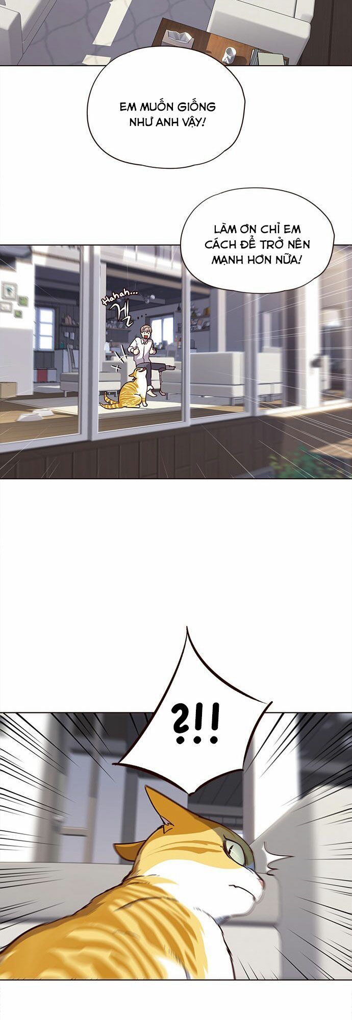 Hóa Thân Thành Mèo Chap 16 - Next Chap 17