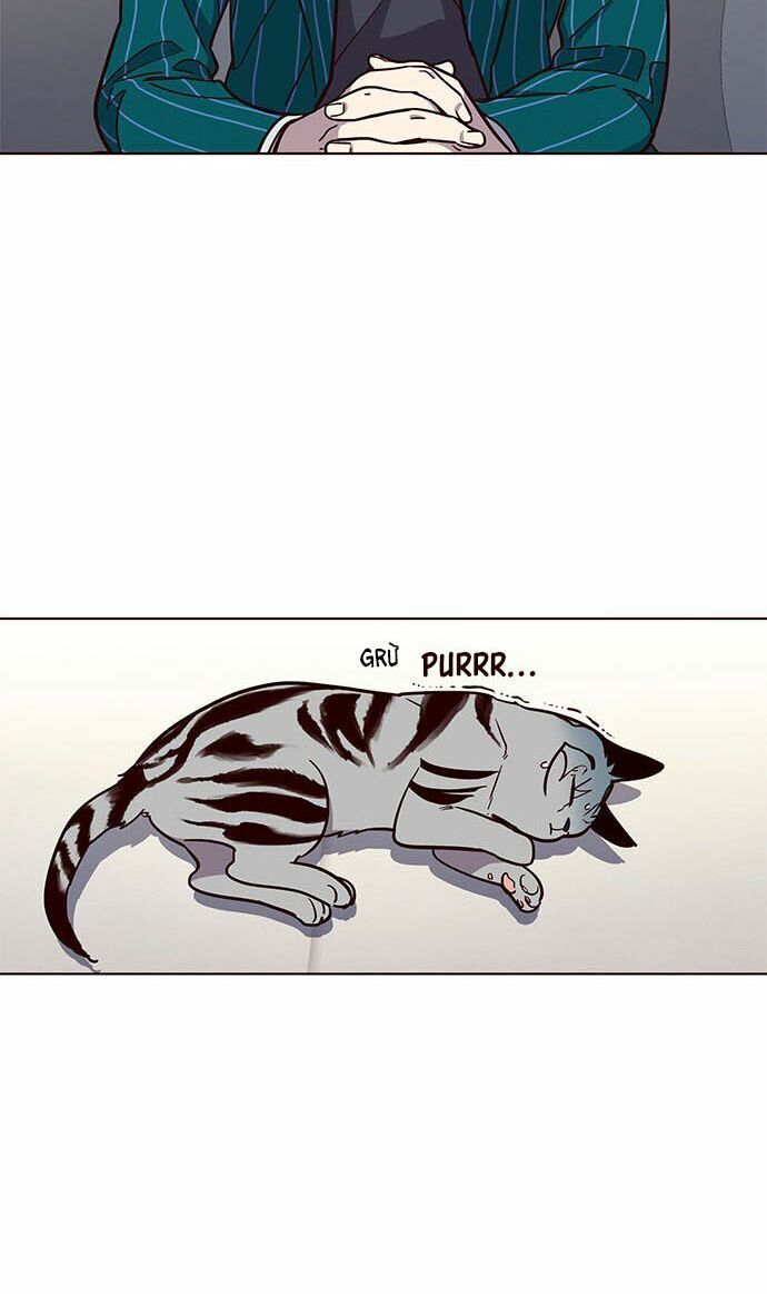 Hóa Thân Thành Mèo Chap 16 - Next Chap 17