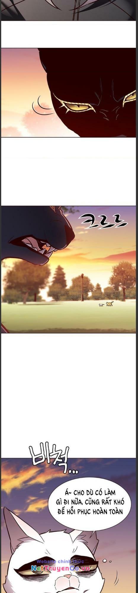 Hóa Thân Thành Mèo Chap 161 - Next Chap 162