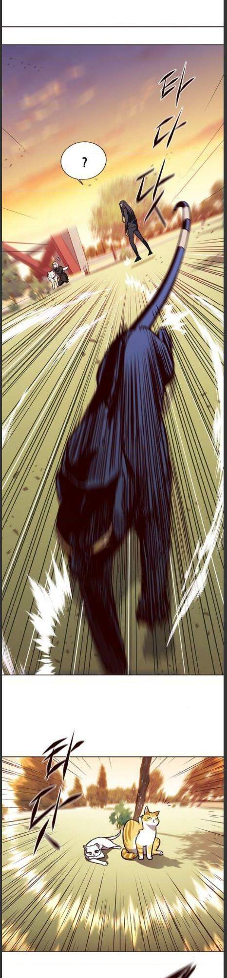 Hóa Thân Thành Mèo Chap 161 - Next Chap 162